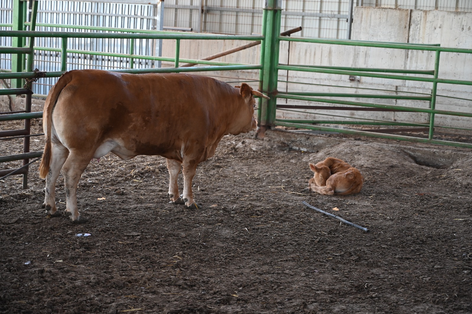 WhatsApp Image 2022-06-30 at 10.41.49 PM (2).jpeg